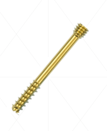 Headless Compression Screw