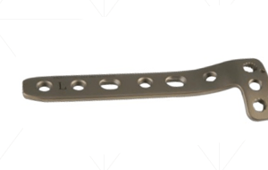 Locking Proximal Tibial Plate